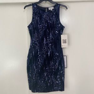 Emerald Sundae Blue Velvet Sequin Dress Size S